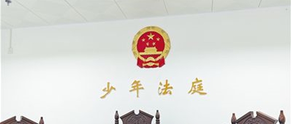 “红领巾”进法院