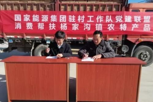 国家能源神东煤炭集团：以实干担当绘就乡村振兴新画卷