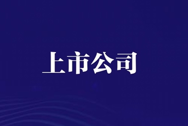 闻泰科技的破局之路：聚焦半导体之后，他还能再次成功吗？