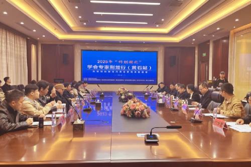 2025年“科创湖北”学会专家荆楚行（黄石站）活动举办