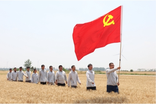 党旗闪耀麦浪间——潍柴雷沃护航大国粮安的国企担当